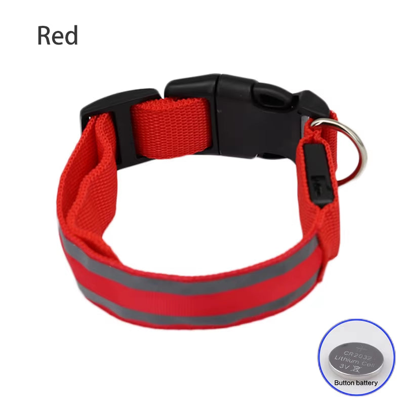 Collar LED Recargable De Seguridad Nocturna Para Perro