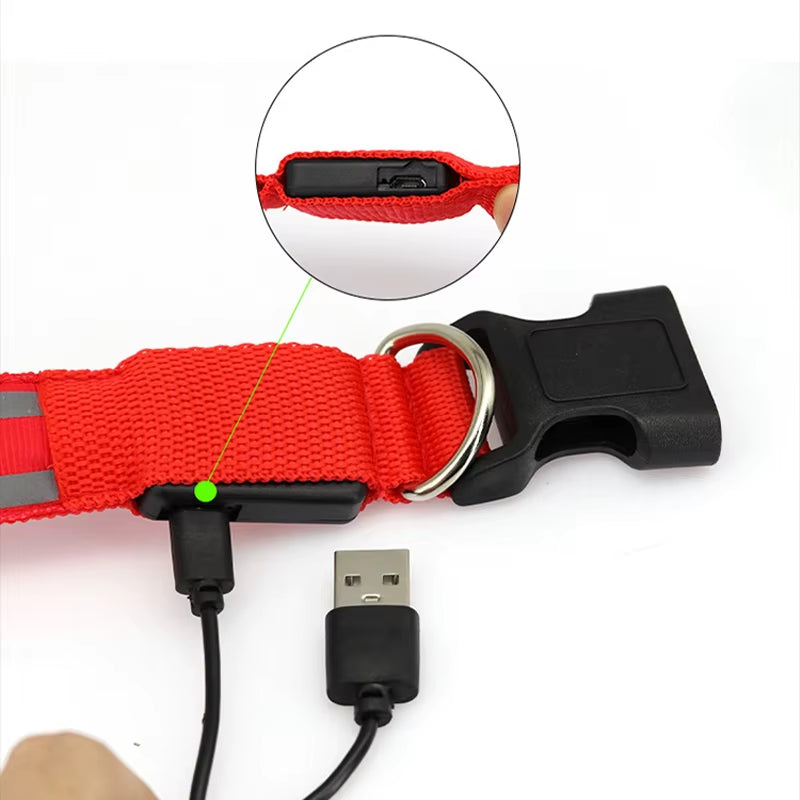 Collar LED Recargable De Seguridad Nocturna Para Perro