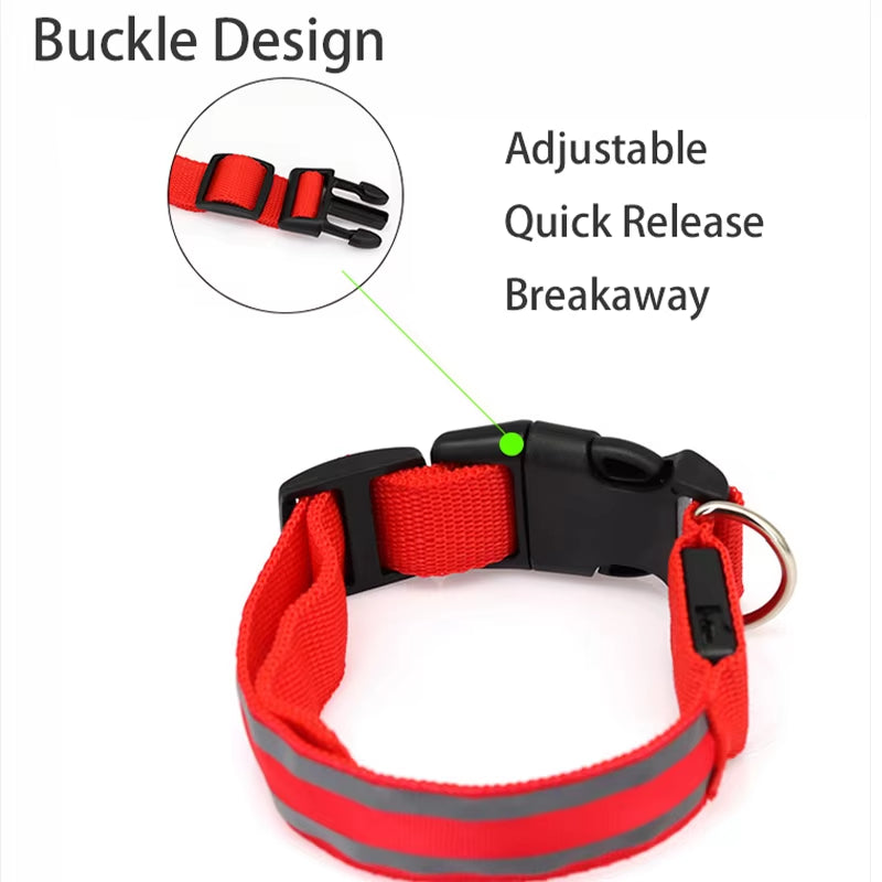 Collar LED Recargable De Seguridad Nocturna Para Perro