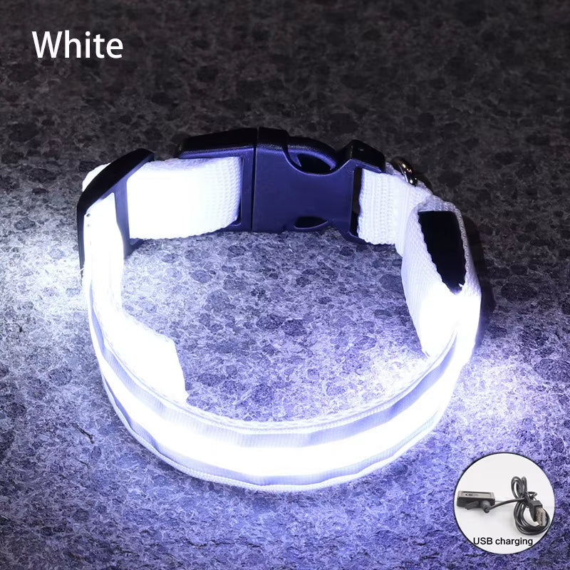 Collar LED Recargable De Seguridad Nocturna Para Perro