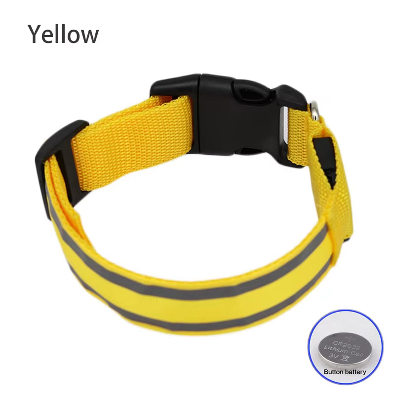 Collar LED Recargable De Seguridad Nocturna Para Perro