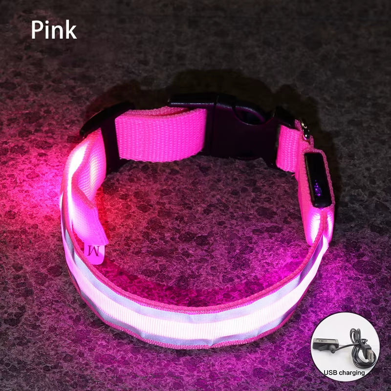 Collar LED Recargable De Seguridad Nocturna Para Perro