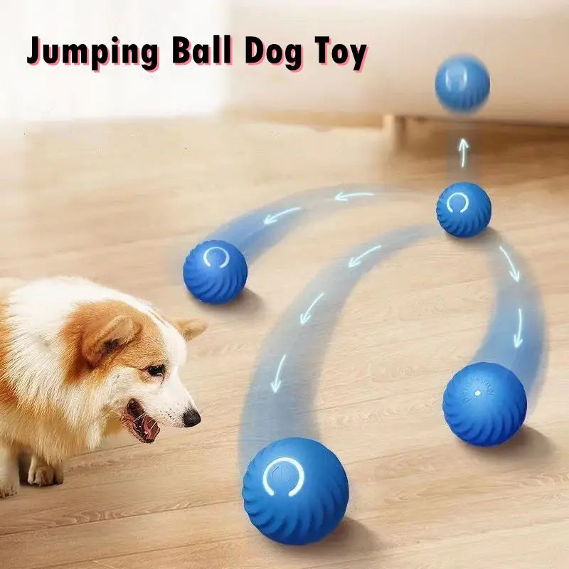 Bola Rebotadora Interactiva Para Mascotas
