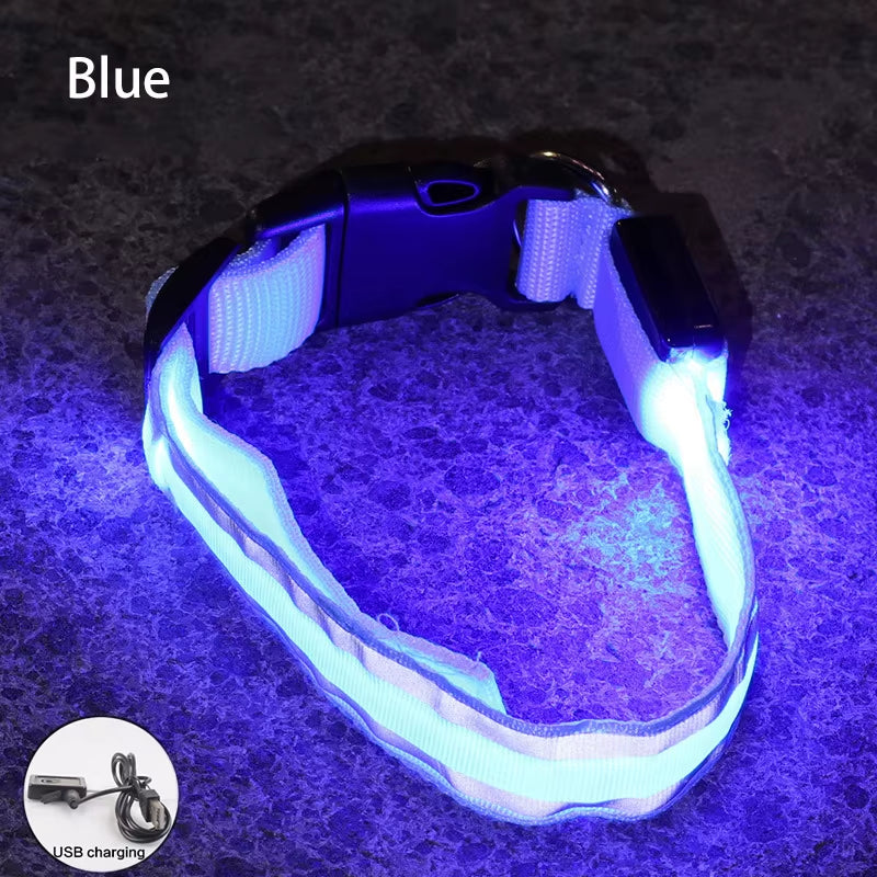 Collar LED Recargable De Seguridad Nocturna Para Perro