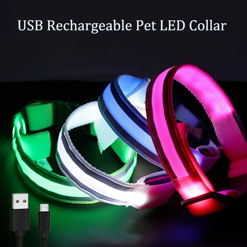 Collar LED Recargable De Seguridad Nocturna Para Perro