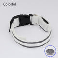 Collar LED Recargable De Seguridad Nocturna Para Perro