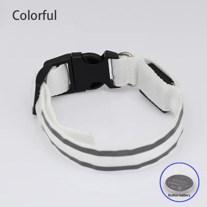 Collar LED Recargable De Seguridad Nocturna Para Perro