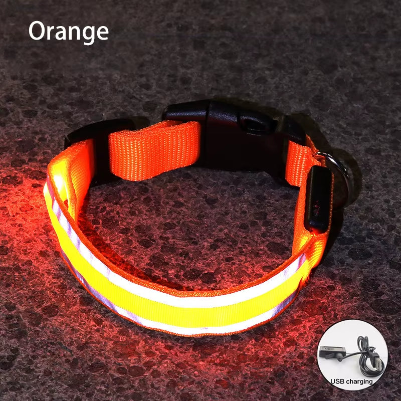 Collar LED Recargable De Seguridad Nocturna Para Perro