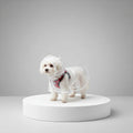 Impermeable para perros