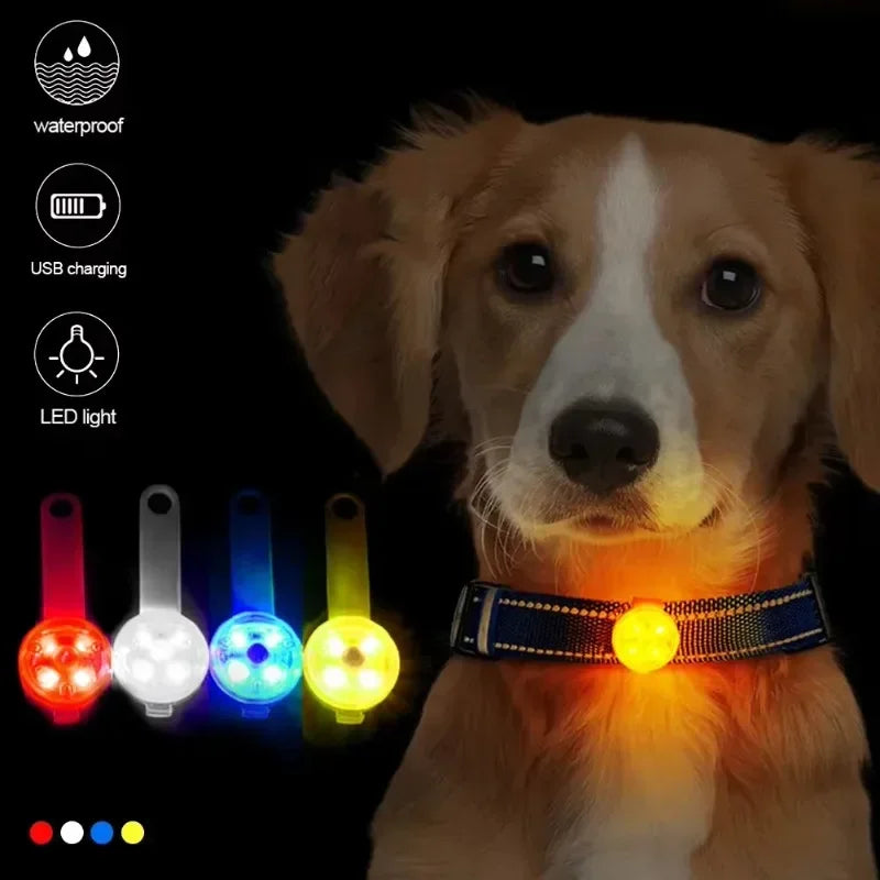 Colgante LED de seguridad para mascotas