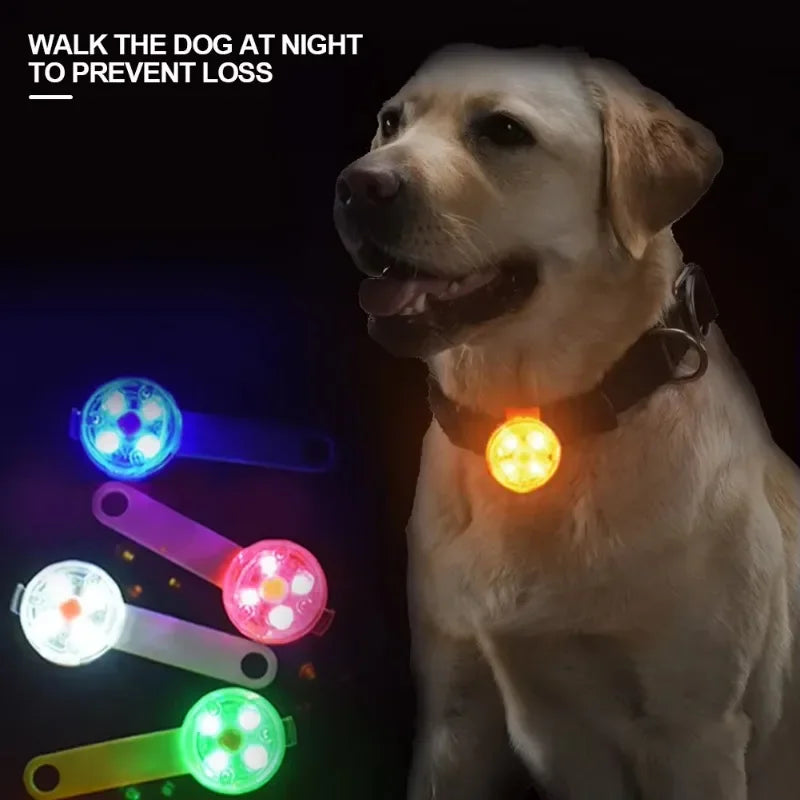 Colgante LED de seguridad para mascotas