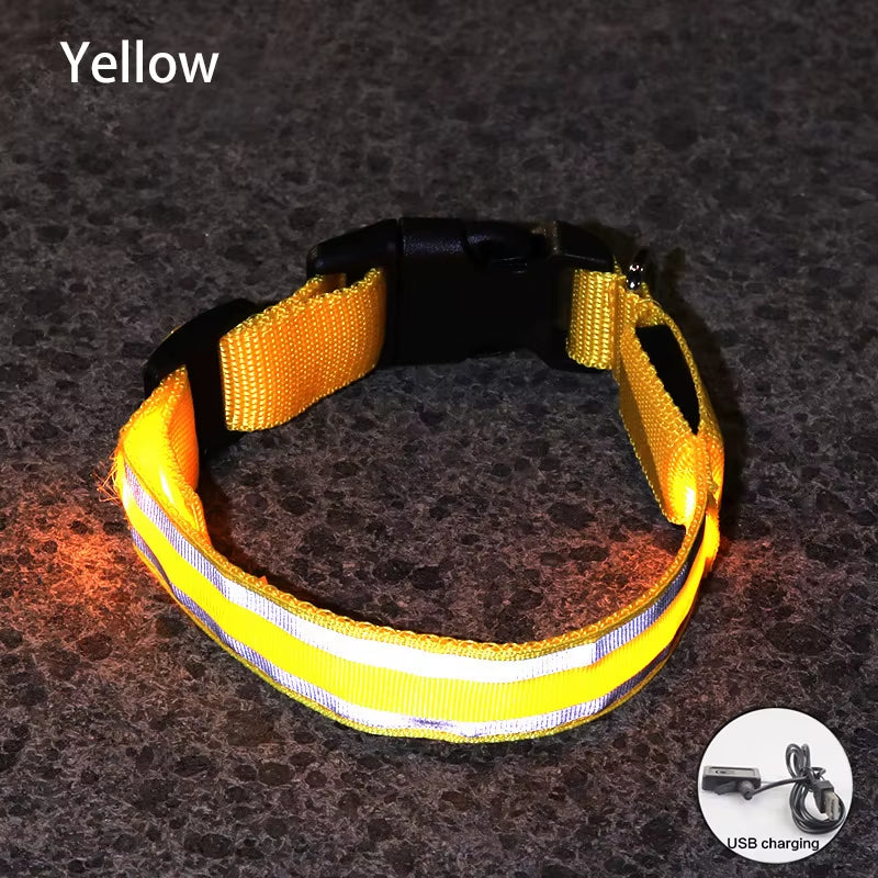 Collar LED Recargable De Seguridad Nocturna Para Perro