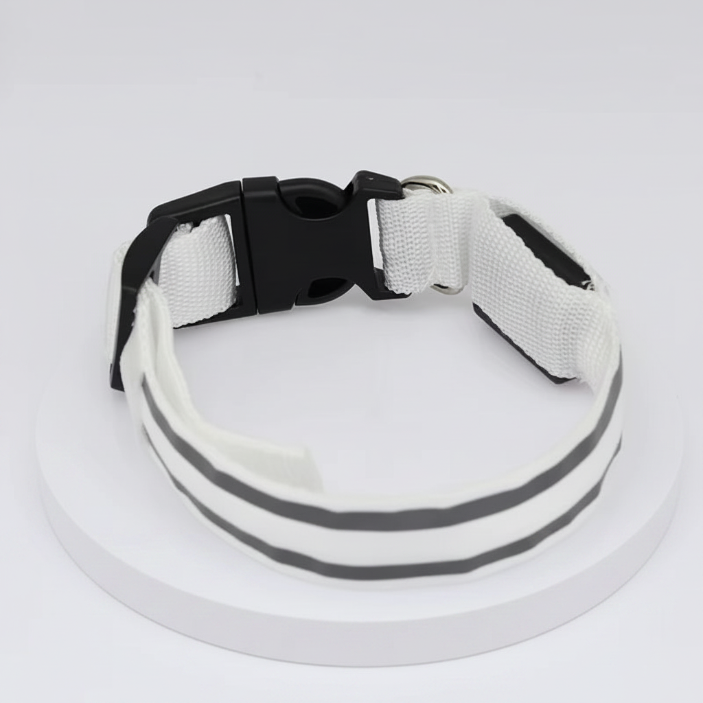 Rechargeable LED Safety Dog Collar