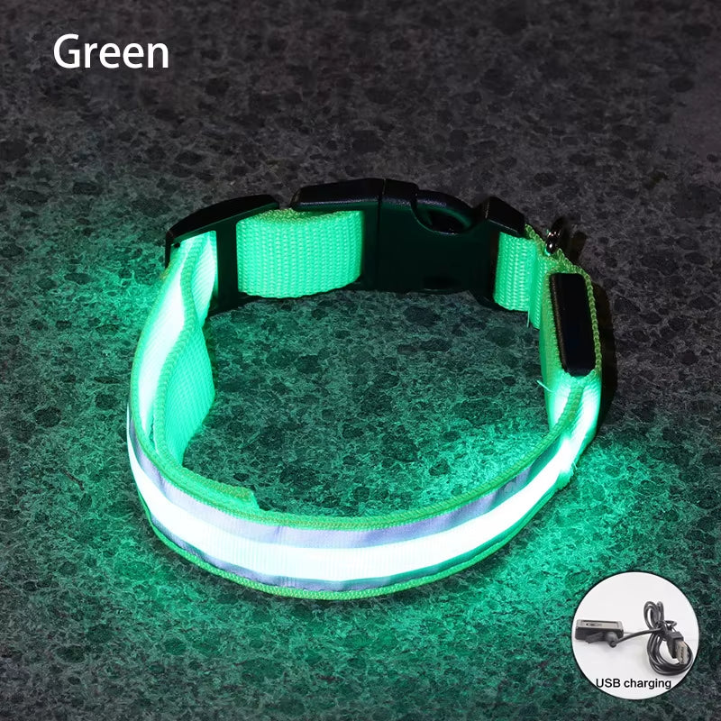Collar LED Recargable De Seguridad Nocturna Para Perro