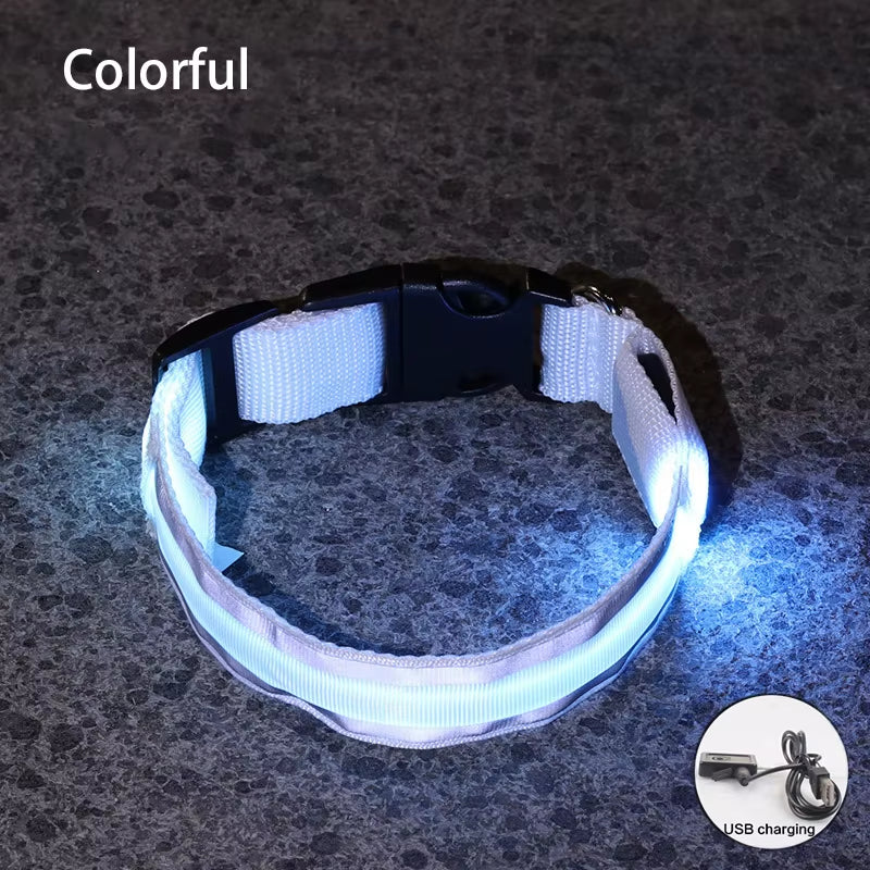 Collar LED Recargable De Seguridad Nocturna Para Perro