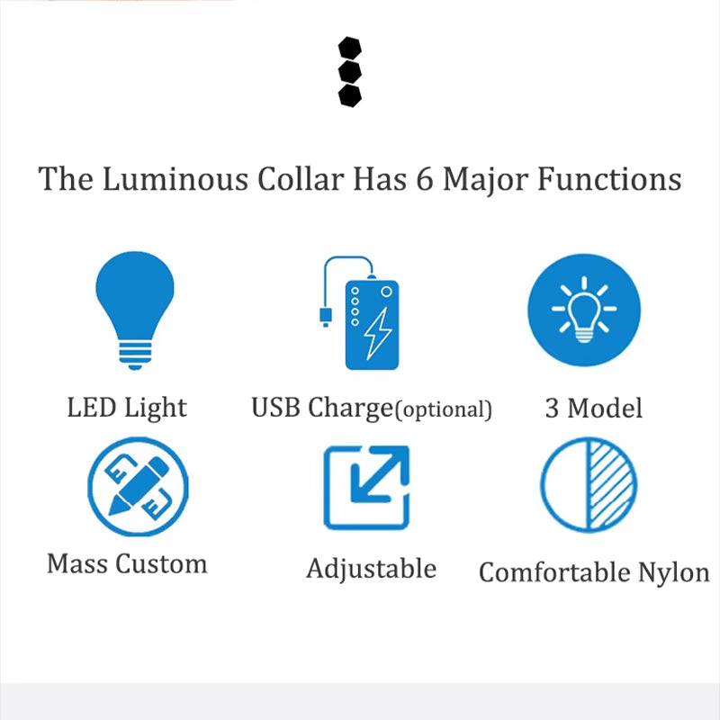 Collar LED Recargable De Seguridad Nocturna Para Perro