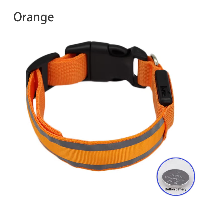 Collar LED Recargable De Seguridad Nocturna Para Perro