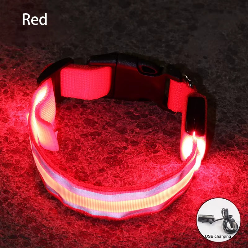 Collar LED Recargable De Seguridad Nocturna Para Perro